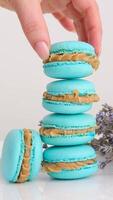 Gourmet small colorful French macarons with lavender flavor and dry lavender French macarons with lavender flavor and fresh lavender flowers on a tile background video
