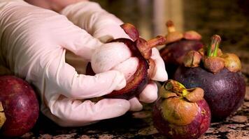 ein weiblich Hand im Weiß Handschuhe vorsichtig nimmt aus das Innerhalb und Schnitt Mangostan exotisch tropisch Obst Restaurant Cafe Essen auf ein Marmor schwarz grau Tabelle Schnitt Mangostan video