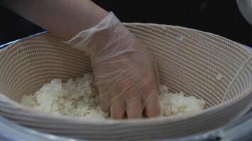 mani preparazione Sushi vicino su. riso e nemmeno io. ragazza mano Tenere verde Sushi rotolo , fatti in casa preparazione video