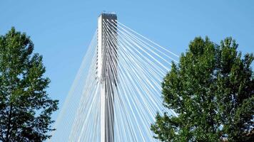 Puerto mann puente Canadá terminado el fraser río en antes de Cristo fondo lado ver de cerca enfocar en cámara Puerto mann puente tomado en Puerto coquitlam, mayor vancouver, británico Columbia, Canadá 2023 video