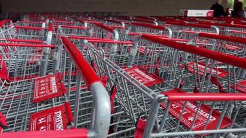 Costco Wholesale huge carts with red handles stand in a row outside the store so people can use them to buy groceries in bulk video