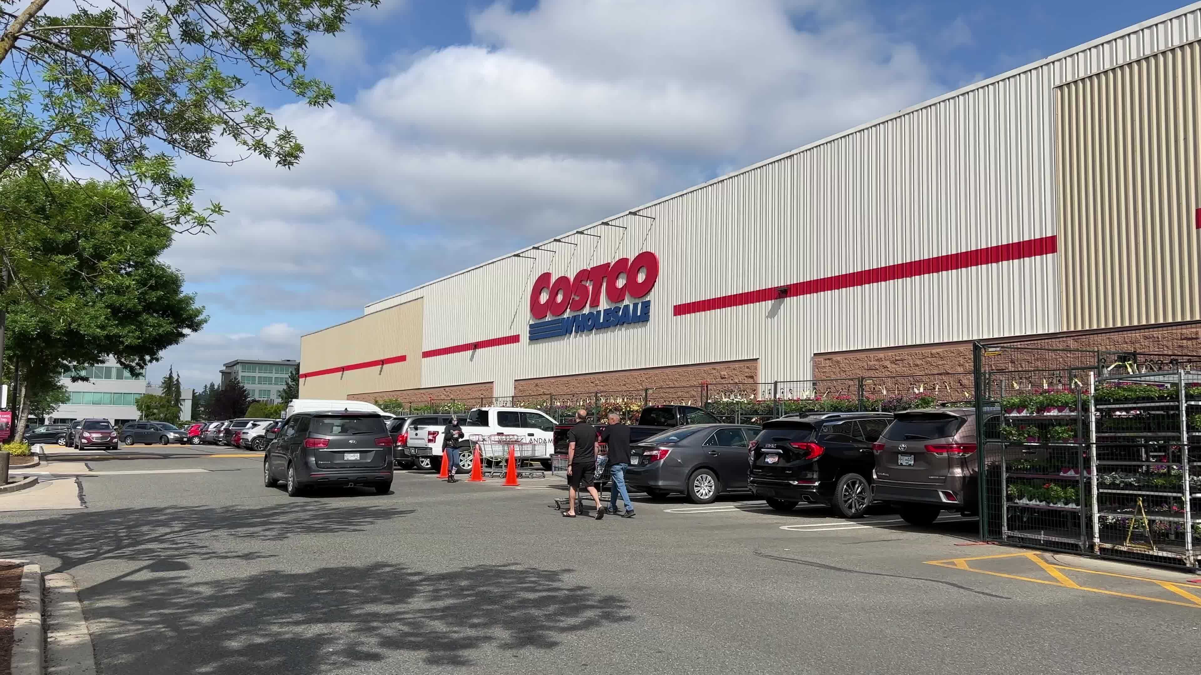 The Ultimate Guide To Passing A Costco Drug Screen - haer6zv