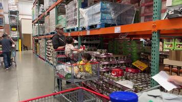 Costco Wholesale Shopping cart families shopping in huge supermarket for weekend pushing children on carts children are interested looking at different foods spending time in store choosing products video