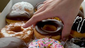 stellen ein Krapfen im ein Box bilden ein köstlich Dessert zum Gäste Verkauf und Verteilung von köstlich Gebäck Schokolade Glasur Belag verschiedene Optionen zum das vorgeschlagen Donuts Zuhause Lieferung video