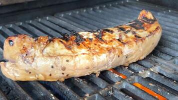 Cerdo filetes, hamburguesas, kebabs y salchichas en el parrilla video