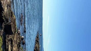 Wall beach, Nanoose Pacific Ocean beach on Vancouver Island a very beautiful combination of nature on the right side coniferous trees on the left side the ocean looks like a lake or the sea video