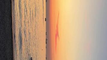 schön klar groß Sonnenaufgang, Sonnenuntergang, Möwen sitzen auf das Wasser und Fliege. ein groß rot heiß Sonne im das Betrachtung von das Meer über das Horizont. video