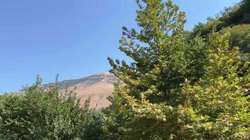 bezienswaardigheden bekijken in Albanië saranda bystritsa rivier- Doorzichtig water blauw oog bezienswaardigheden bekijken reis bezienswaardigheden bekijken plaatsen vermeld in UNESCO natuur zomer reizen video