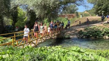 Albânia turistas a partir de a famoso unesco listado azul olho, pessoas andar ao longo a ponte sobre rio. Albânia video