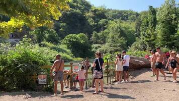 azul olho Albânia famoso turista Lugar, colocar Entrada dentro Albânia azul olho pessoas turistas passagem de olhando flutuando dentro Claro água verão mapa bem-vinda natureza unesco listado video