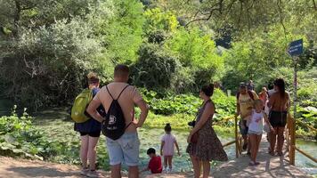 Blau Auge Albanien berühmt Tourist Platz Eingang im Albanien Blau Auge Menschen Touristen Vorbeigehen durch suchen schwebend im klar Wasser Sommer- Karte herzlich willkommen Natur UNESCO aufgeführt video