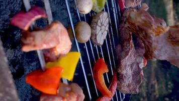 Meat and vegetables on grill slow motion shot video