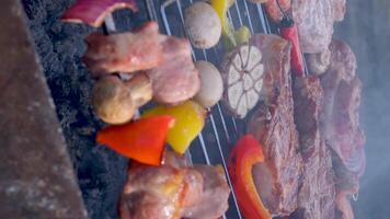 Meat with vegetables and sausages on the grate to cook on charcoal video