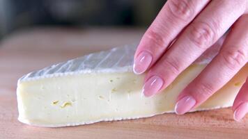 Camembert formaggio il giro, rotazione nel cerchio. Camembert grigliato formaggio, girando. selettivo messa a fuoco. video