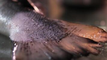 vermelho peixe sal chefe de cozinha cortes uma filé do fresco vermelho peixe com uma faca. cozinhando salmão cru carne para bife lento movimento fechar acima Visão video