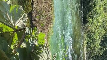 bezienswaardigheden bekijken in Albanië saranda bystritsa rivier- Doorzichtig water blauw oog bezienswaardigheden bekijken reis bezienswaardigheden bekijken plaatsen vermeld in UNESCO natuur zomer reizen video