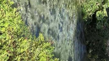 Besichtigung im Albanien saranda vonstritsa Fluss klar Wasser Blau Auge Besichtigung Ausflug Besichtigung setzt aufgeführt im UNESCO Natur Sommer- Reise video