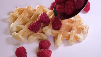 plate of waffles decorated with chocolat sauce and fresh berries isolated on white background waffles with raspberries video