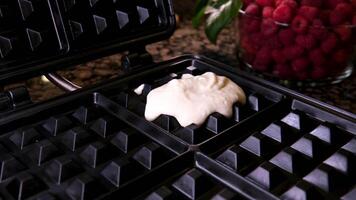prato do waffles decorado com chocolate molho e fresco bagas isolado em branco fundo waffles com framboesas video