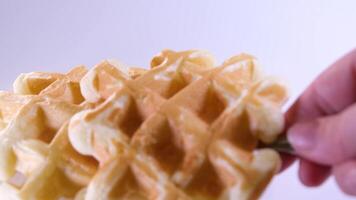 process of preparing sweet delicious waffles in electric waffle iron using food processor beat ingredients add sugar close-up cooking show recipe milk sunflower oil Breakfast with raspberries decorate video