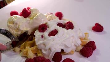 Prozess von vorbereiten Süss köstlich Waffeln im elektrisch Waffel Eisen mit Essen Prozessor schlagen Zutaten hinzufügen Zucker Nahansicht Kochen Show Rezept Milch Sonnenblume Öl Frühstück mit Himbeeren schmücken video