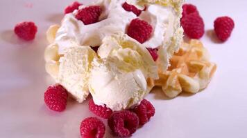 Prozess von vorbereiten Süss köstlich Waffeln im elektrisch Waffel Eisen mit Essen Prozessor schlagen Zutaten hinzufügen Zucker Nahansicht Kochen Show Rezept Milch Sonnenblume Öl Frühstück mit Himbeeren schmücken video