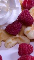 Prozess von vorbereiten Süss köstlich Waffeln im elektrisch Waffel Eisen mit Essen Prozessor schlagen Zutaten hinzufügen Zucker Nahansicht Kochen Show Rezept Milch Sonnenblume Öl Frühstück mit Himbeeren schmücken video