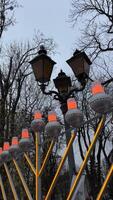 Chanoeka lichten gloed tegen de backdrop van een winter stad van kaal bomen en lucht lantaarns dichtbij omhoog van Chanoeka donuts wezen besprenkeld met gepoederd suiker in langzaam beweging video