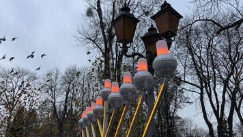 Janucá luces resplandor en contra el fondo de un invierno ciudad de desnudo arboles y cielo linternas cerca arriba de Janucá rosquillas siendo rociado con en polvo azúcar en lento movimiento video