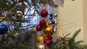 ortodoxo Iglesia decorado Navidad árbol con un blanco arco y dorado rojo manzanas, me gusta Adán manzana. en antiguo veces según a leyenda Navidad árbol y Navidad decoraciones croma llave girar video