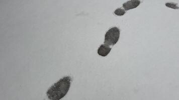 Fresco pasos, huellas, zapato huellas dactilares o zapato marcas en el superficial nieve yendo adelante o lejos. nieve es reluciente y espumoso en el invierno Dom. video