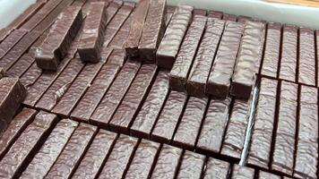 Production of chocolate candy. Sweets on conveyor belt at factory video