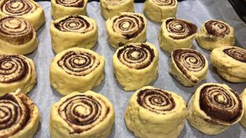 gieten room Aan kaneel broodjes. vers gebakken eigengemaakt kaneel bun gebakken kaneel broodjes in oven. productie van kaneel broodjes. koken kaneel buntimelapse kaneel bun bakken en stijgende lijn Aan dienblad in el video