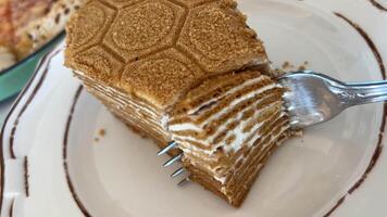 wit biscuit taart rotatie. honing cakes met wit room honing taart video