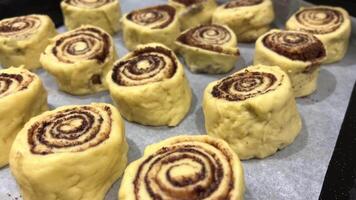 Pouring cream on cinnamon rolls. Freshly baked homemade cinnamon bun Baked cinnamon buns in oven. Production of cinnamon rolls. Cook cinnamon bunsTimelapse cinnamon bun baking and rising on tray in el video