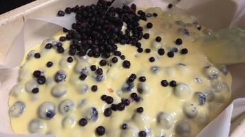 bereiten das Teig auf ein Backen Blatt, Beeren im ein Kuchen mit Walnüsse, Blaubeeren, gießen aus das Teig, stellen im das Ofen, bereiten beim heim. video