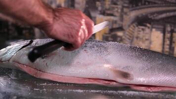 Prise Salz- und Gewürze auf roh Lachs Filet. schleppend Bewegung. salzen rot Fisch. Würze Lachs Steak. Koch Hinzufügen Gewürze auf roh Lachs Steak Vor Backen. roh Lachs Filet oder rot Fisch Steak. voll video