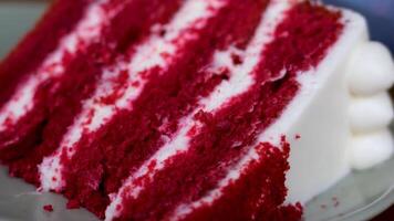 delicious cake red Velvet white creamy airy. cake layers with fork crush dessert close-up macro of layers of cake layers of delicious cake pleasure and cooking culinary show study structure of dough video