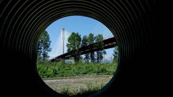 Port mann pont Canada plus de le Fraser rivière dans avant JC intéressant inhabituel métrage de pont de bas en haut vert des arbres chemin de fer Terre sur siphon de bleu sans nuages ciel Contexte pour La publicité texte video