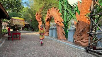 Vietnã phu quoc ilha grande mundo 12.03.2024 cidade japonesa tradicional chapéus cidade japonesa arco pessoas vestido dentro tradicional japonês roupas representar seus nação Como lindo video