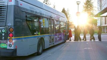 buss sluta kö av människor stående på de buss offentlig transport solnedgång människor gående Hem från arbete mitten och lägre klass mycket lång kö trafik surrey vancouver kanada 2023 video