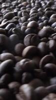 Coffee Grains as Background video