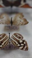 hermosa colección de mariposas video