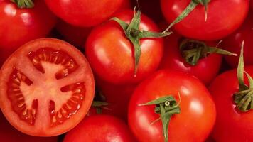 kleurrijk biologisch tomaten video