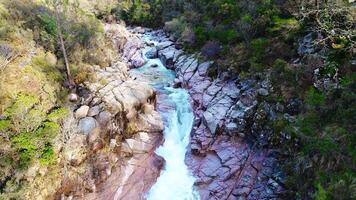 Waterfall in the Mountain Forest Aerial View video