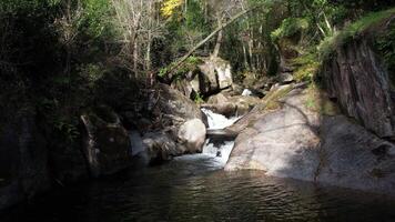 Wasserfall im das Berg Wald Antenne Aussicht video