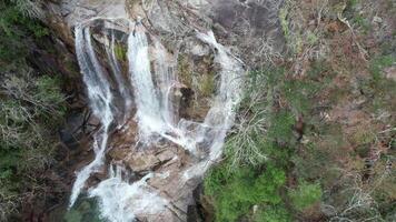 een waterval watervallen in een tropisch regenwoud met rots video