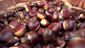 castagne come sfondo video