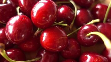 Closeup Shot of Cherry Fruit video