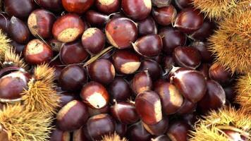 Chestnuts as Background video